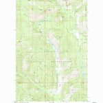 United States Geological Survey La Fleur Lake, WA (1985, 24000-Scale) digital map