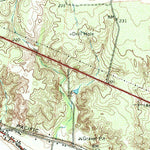 United States Geological Survey La Grulla, TX (1965, 24000-Scale) digital map