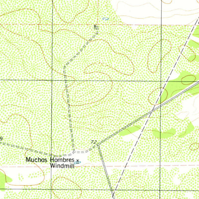 United States Geological Survey La Paloma Ranch, TX (1979, 24000-Scale) digital map