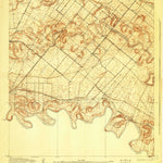 United States Geological Survey La Paloma, TX (1929, 24000-Scale) digital map