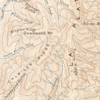United States Geological Survey La Plata, CO (1899, 62500-Scale) digital map
