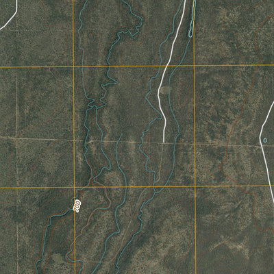 United States Geological Survey La Pryor NW, TX (2010, 24000-Scale) digital map