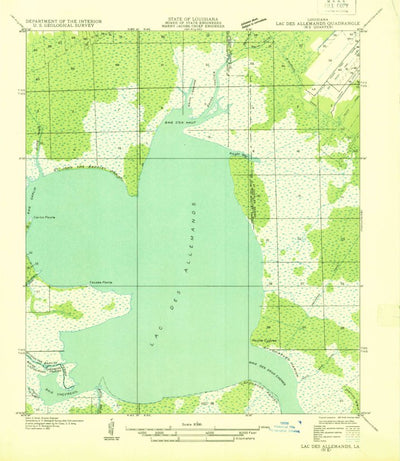 United States Geological Survey Lac Des Allemands, LA (1932, 31680-Scale) digital map