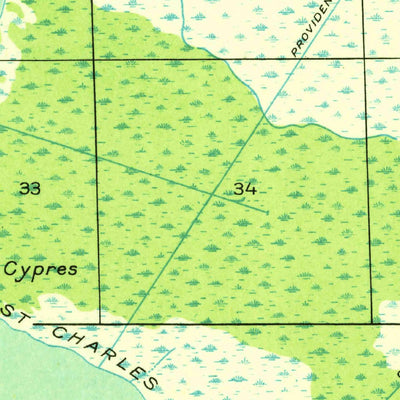 United States Geological Survey Lac Des Allemands, LA (1932, 31680-Scale) digital map