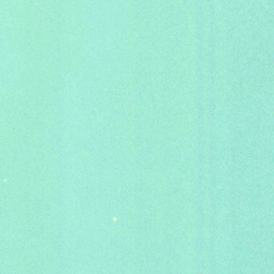 United States Geological Survey Laguna Beach, FL (1943, 24000-Scale) digital map