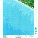 United States Geological Survey Laguna Beach, FL (1982, 24000-Scale) digital map