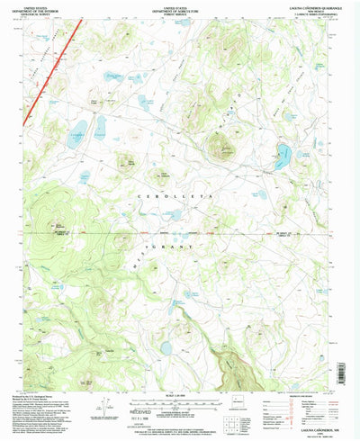 United States Geological Survey Laguna Canoneros, NM (1995, 24000-Scale) digital map
