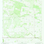 United States Geological Survey Laguna Del Toro, TX (1969, 24000-Scale) digital map