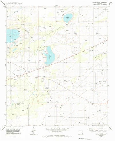 United States Geological Survey Laguna Gatuna, NM (1984, 24000-Scale) digital map