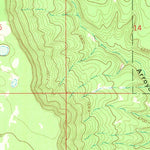 United States Geological Survey Laguna Ortiz, NM (1966, 24000-Scale) digital map