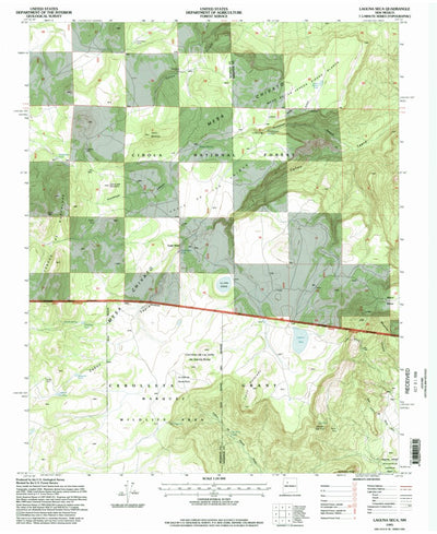 United States Geological Survey Laguna Seca, NM (1995, 24000-Scale) digital map