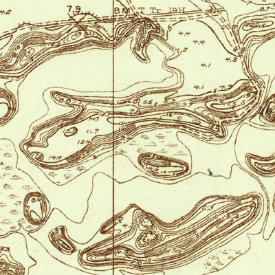 United States Geological Survey Laguna Vista, TX (1929, 24000-Scale) digital map