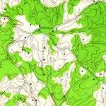 United States Geological Survey Lahore, VA (1942, 24000-Scale) digital map