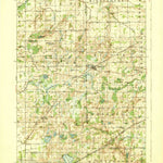 United States Geological Survey Laingsburg, MI (1928, 62500-Scale) digital map