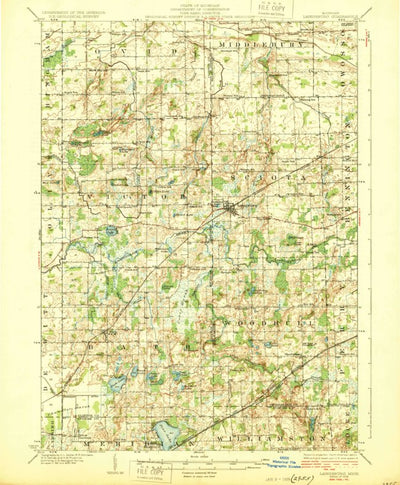 Laingsburg, MI (1928, 62500-Scale) Map by United States Geological Survey