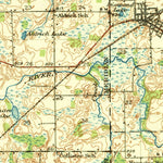 United States Geological Survey Laingsburg, MI (1928, 62500-Scale) digital map