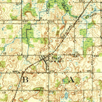 United States Geological Survey Laingsburg, MI (1928, 62500-Scale) digital map