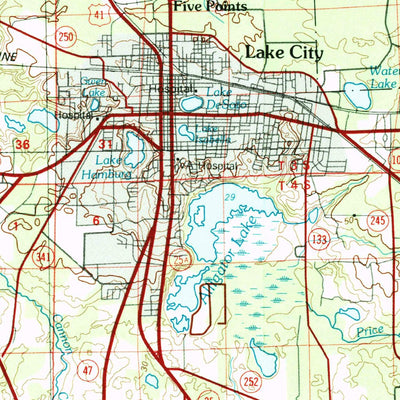 United States Geological Survey Lake City, FL-GA (1981, 100000-Scale) digital map