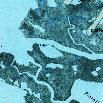 United States Geological Survey Lake Cuatro Caballo, LA (1973, 24000-Scale) digital map