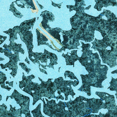United States Geological Survey Lake Cuatro Caballo, LA (1973, 24000-Scale) digital map