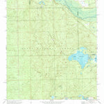 United States Geological Survey Lake Delancy, FL (1970, 24000-Scale) digital map