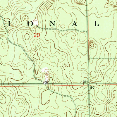 United States Geological Survey Lake Delancy, FL (1970, 24000-Scale) digital map