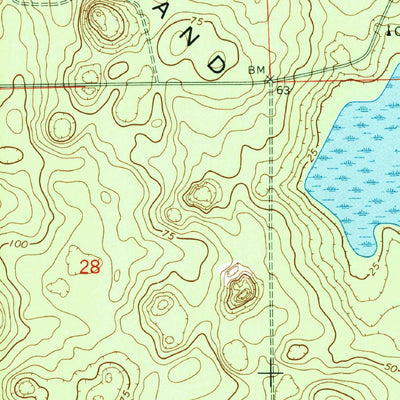 United States Geological Survey Lake Delancy, FL (1970, 24000-Scale) digital map