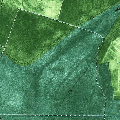 United States Geological Survey Lake Drummond SE, VA-NC (1977, 24000-Scale) digital map