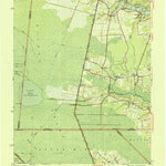 United States Geological Survey Lake Drummond, VA-NC (1945, 62500-Scale) digital map