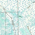 United States Geological Survey Lake Felicity, LA (1939, 62500-Scale) digital map