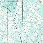 United States Geological Survey Lake Felicity, LA (1939, 62500-Scale) digital map