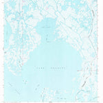 United States Geological Survey Lake Felicity, LA (1964, 24000-Scale) digital map