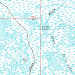 United States Geological Survey Lake Felicity, LA (1964, 62500-Scale) digital map