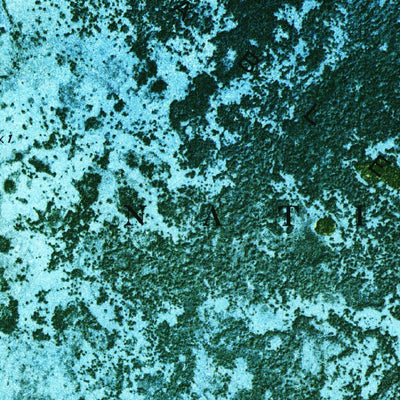 United States Geological Survey Lake Ingraham East, FL (1972, 24000-Scale) digital map