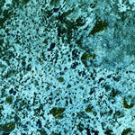 United States Geological Survey Lake Ingraham East, FL (1972, 24000-Scale) digital map