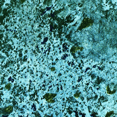 United States Geological Survey Lake Ingraham East, FL (1972, 24000-Scale) digital map