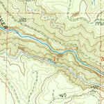 United States Geological Survey Lake Kapowsin, WA (1987, 24000-Scale) digital map