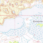 United States Geological Survey Lake Louisa, FL (1959, 24000-Scale) digital map