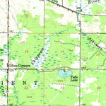 United States Geological Survey Lake, MI (1959, 62500-Scale) digital map