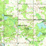 United States Geological Survey Lake, MI (1959, 62500-Scale) digital map