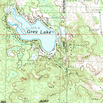 United States Geological Survey Lake, MI (1984, 25000-Scale) digital map