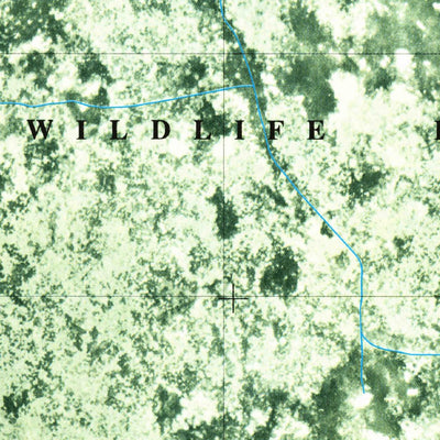 United States Geological Survey Lake Misere, LA (1980, 24000-Scale) digital map