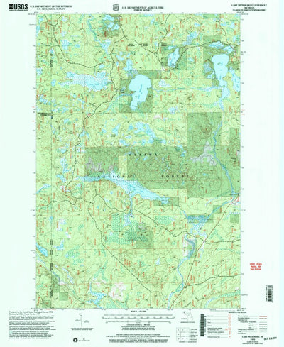 United States Geological Survey Lake Mitigwaki, MI (1999, 24000-Scale) digital map