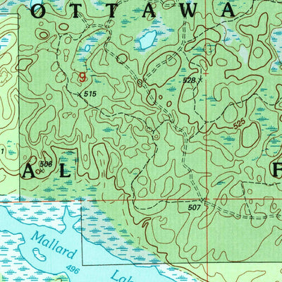 United States Geological Survey Lake Mitigwaki, MI (1999, 24000-Scale) digital map