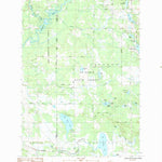 United States Geological Survey Lake NE, MI (1984, 25000-Scale) digital map
