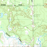 United States Geological Survey Lake NE, MI (1984, 25000-Scale) digital map