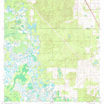 United States Geological Survey Lake Panasoffkee NW, FL (1966, 24000-Scale) digital map