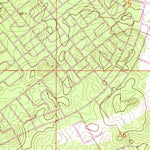 United States Geological Survey Lake Panasoffkee NW, FL (1966, 24000-Scale) digital map