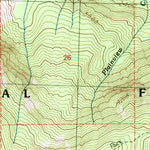 United States Geological Survey Lake Wenatchee, WA (1989, 24000-Scale) digital map