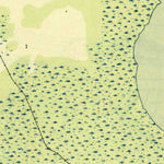 United States Geological Survey Lake Wimico, FL (1945, 31680-Scale) digital map